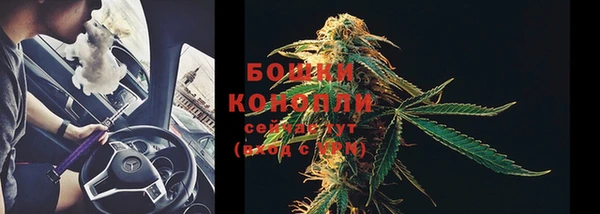 спиды Михайлов