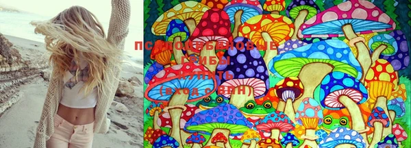 спайс Михайловск