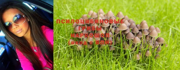 спайс Михайловск