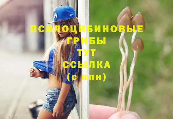 герыч Мегион